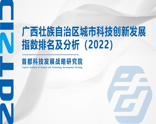 先玩逼在操逼视频【成果发布】广西壮族自治区城市科技创新发展指数排名及分析（2022）